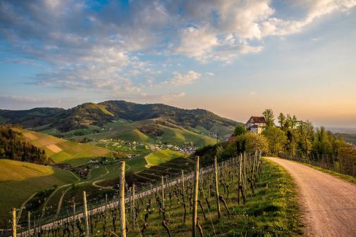 Schloss in den Weinbergen